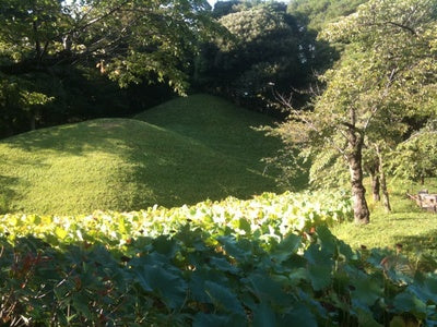 小石川後楽園 (3)