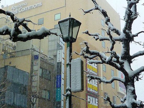 aoyama-20120302_8