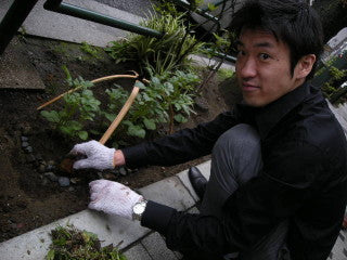 雨にも負けず