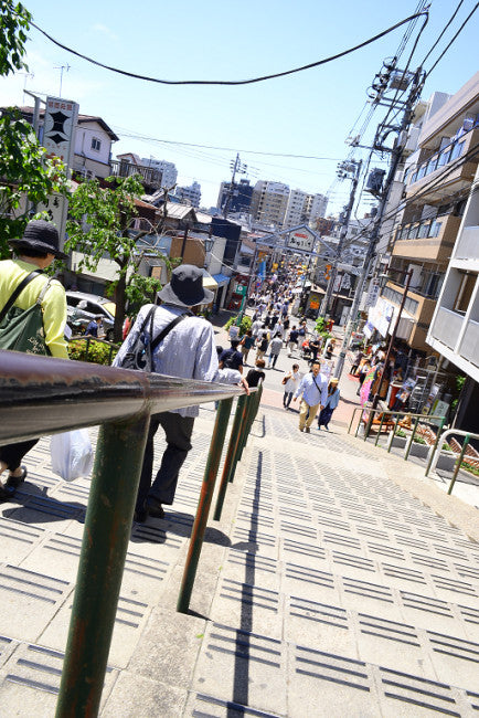 玉川,ロイズ