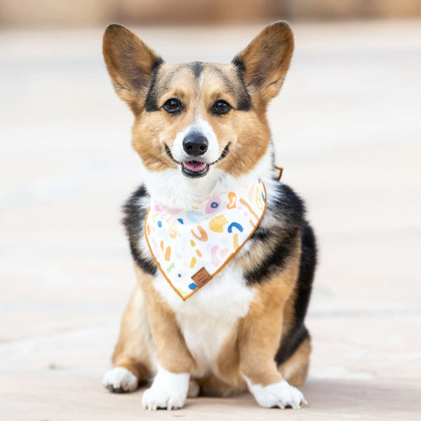 dog bandana