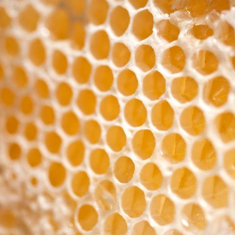 Beeswax