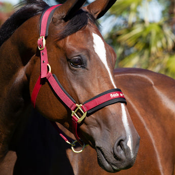 Therapeutic Western Saddle Pad Liner  Back on Track USA - Back on Track USA