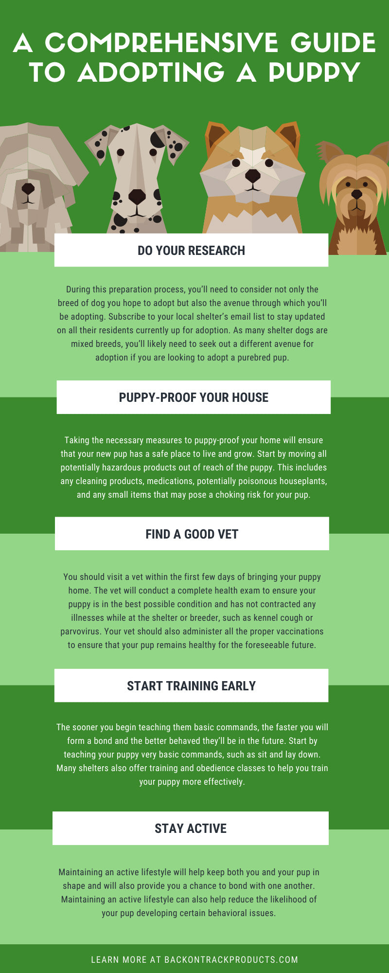 Comprehensive guide to adopting a puppy