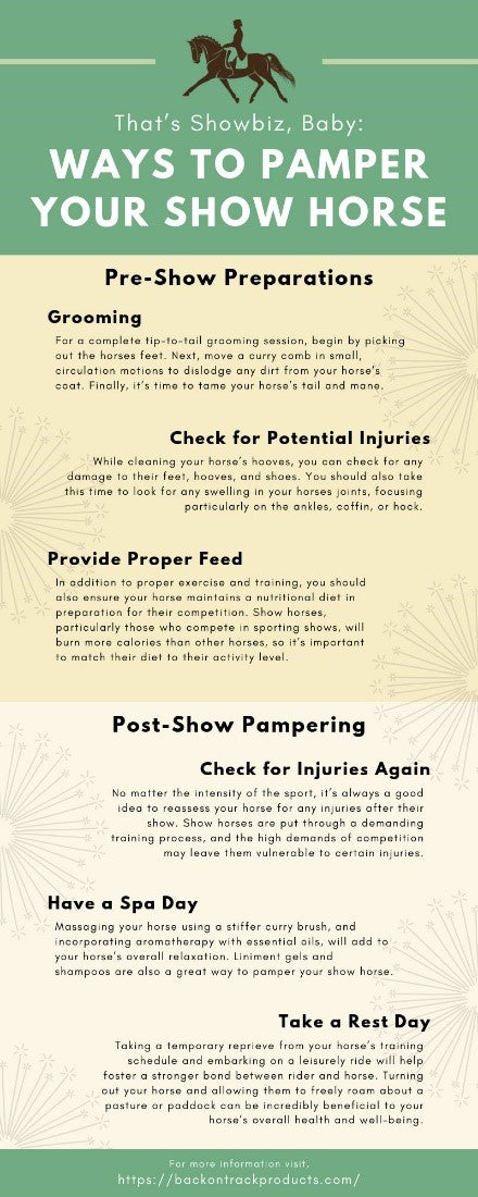 Ways to pamper your show horse