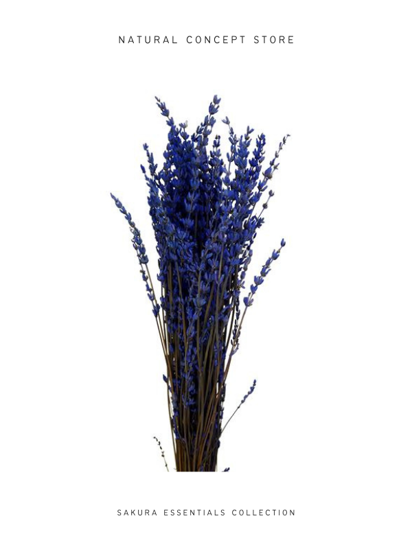 Lavanda preservada rosa & azul – Sakura Atelier