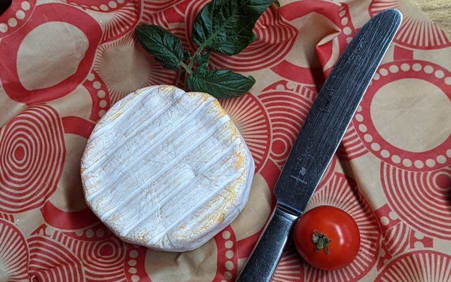 Käse in einem Bienenwachstuch verpacken