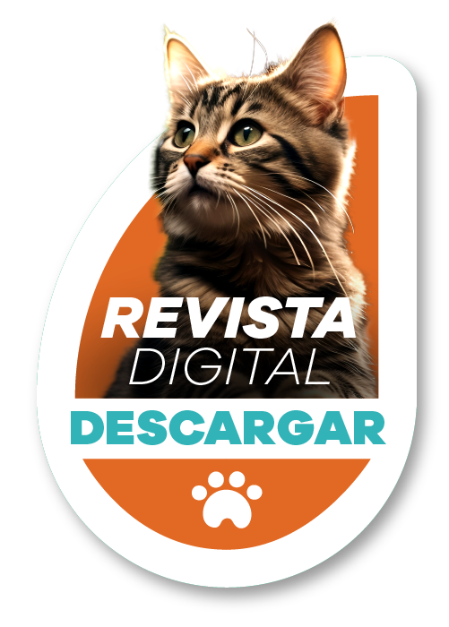 Revista digital