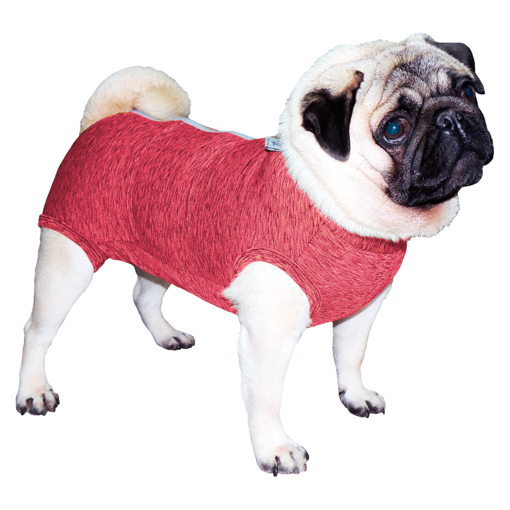 ROPA FIT RAZAS PUG ROSA