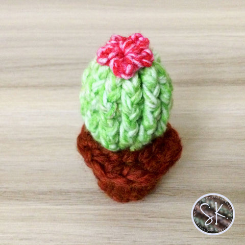 Forever Crochet Cactus