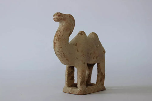 Tang-Dynasty Terracotta Camel