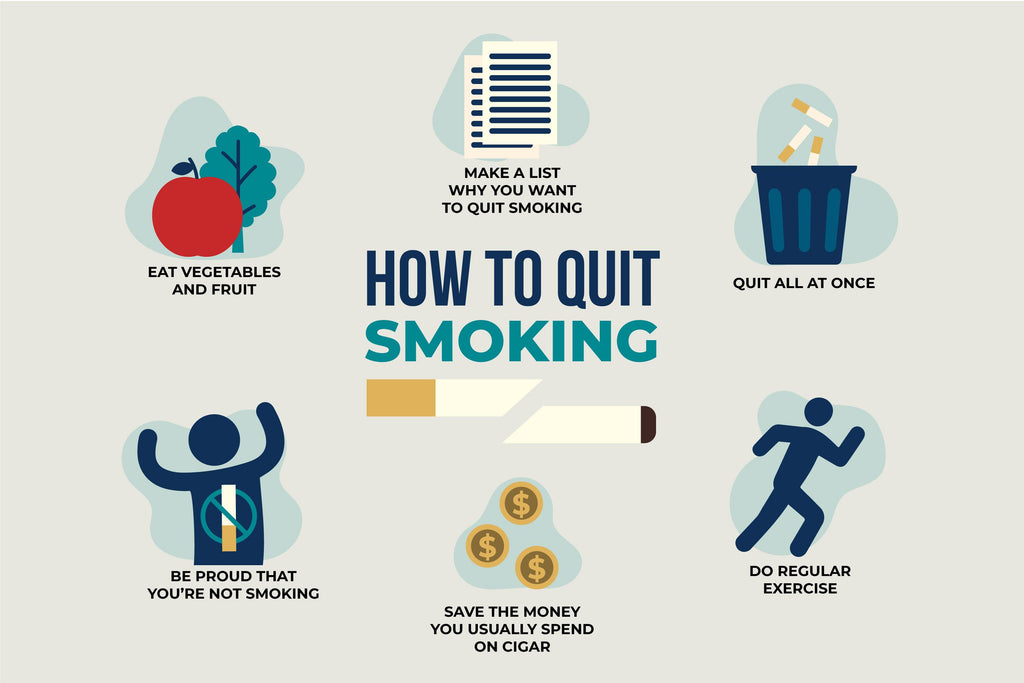 Collection of best herbs for quitting smoking Vector Image