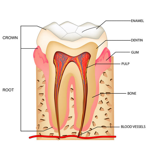 Enamel-Safe Ingredients