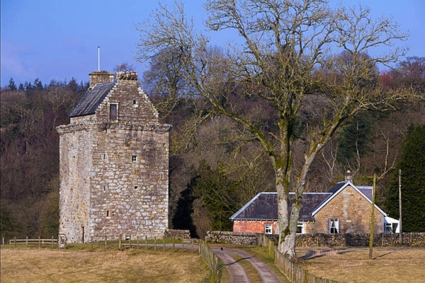 Nichée sur les rives occidentales de la rivière Esk, la tour de Gilnockie s'élève dans un élan de résilience.