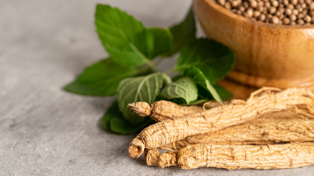 Ginseng Root