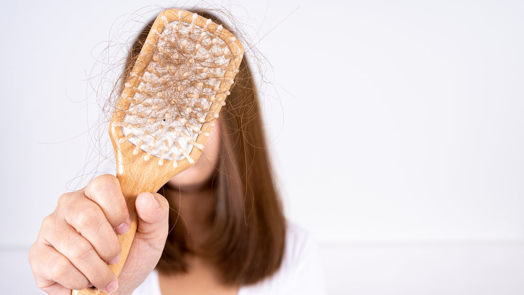 Hair Loss Shedding