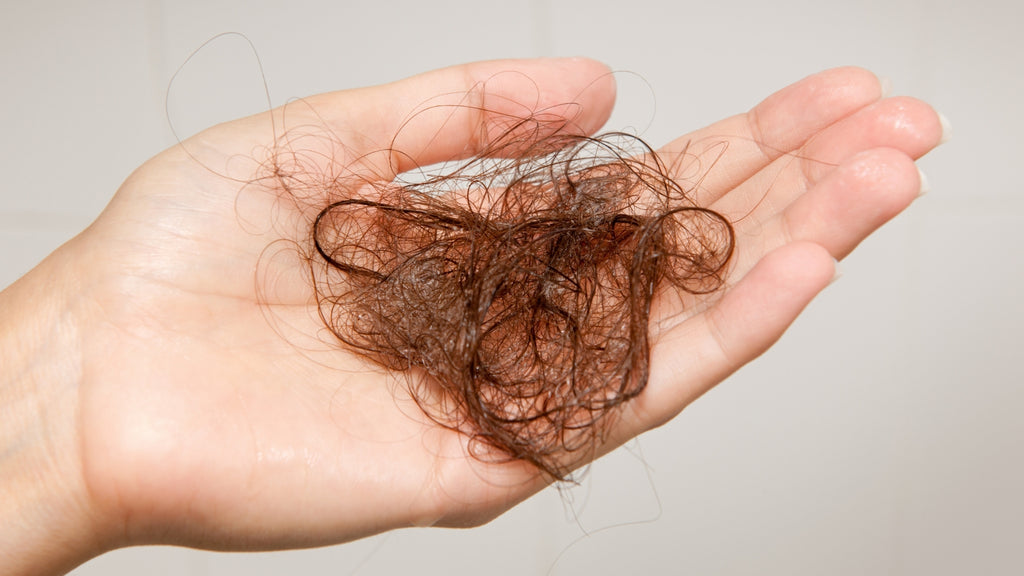 Blog: Seasonal Hair Loss Shedding Thinning