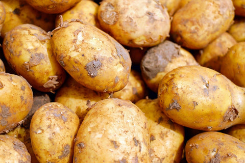 econome legumes Éplucheur de pommes de terre manuel à double