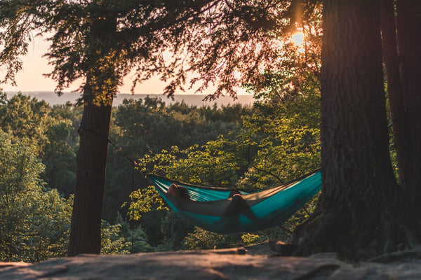 man lying in hammock between trees during daytime