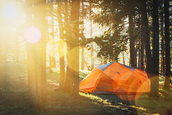 summer camping sunlight shade tent forest
