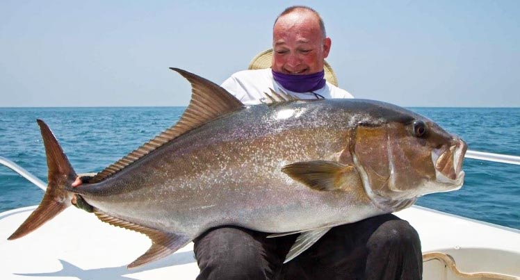 Amberjack