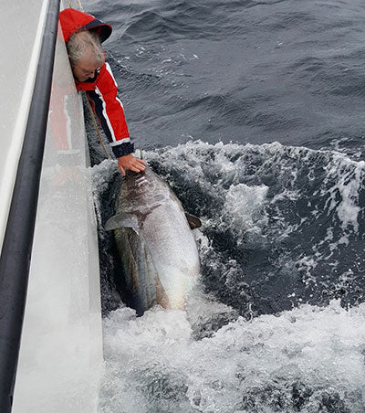 Robert says hello to the bluefin tuna