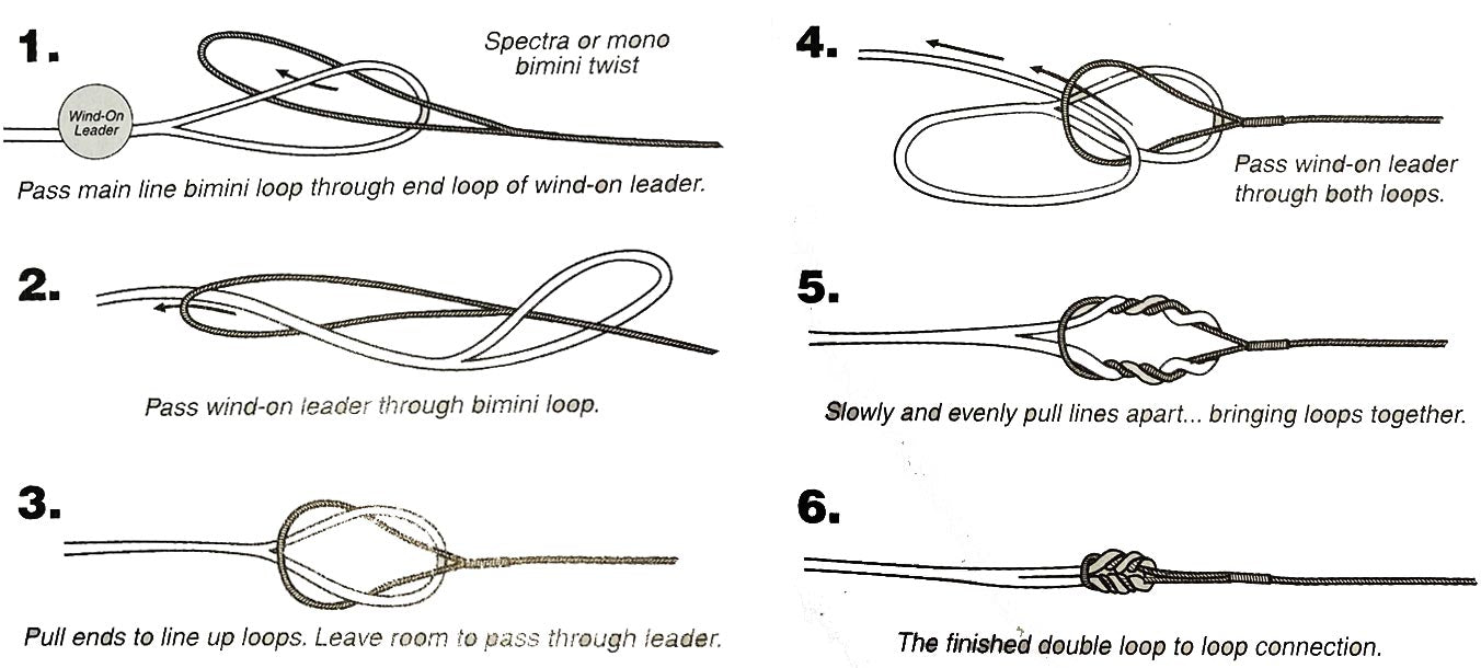 Cat's Paw Guide