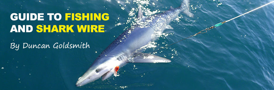 Guide to UK Shark Fishing - Rok Max