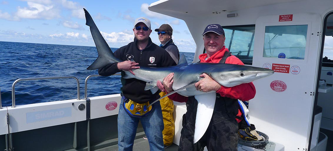 Shark Fishing for Beginners