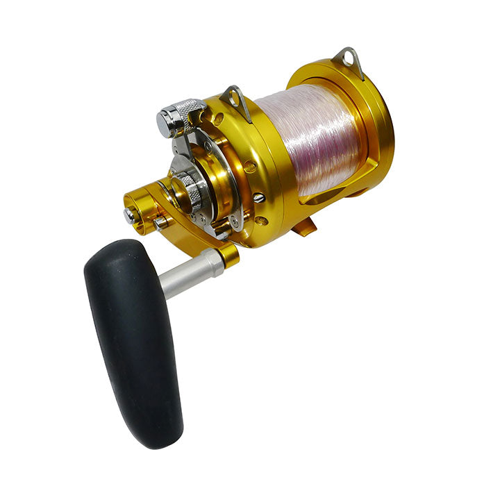 FISH WINCH® - Avet 80 Electric Reel conversion (EX80/2, EXW80/2