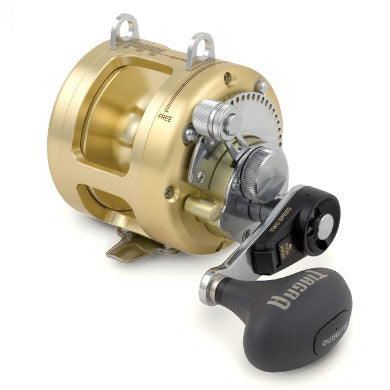 Shimano TLD Multiplier Reel - Rok Max