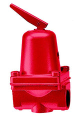 Armstrong Pressure Relief Valves