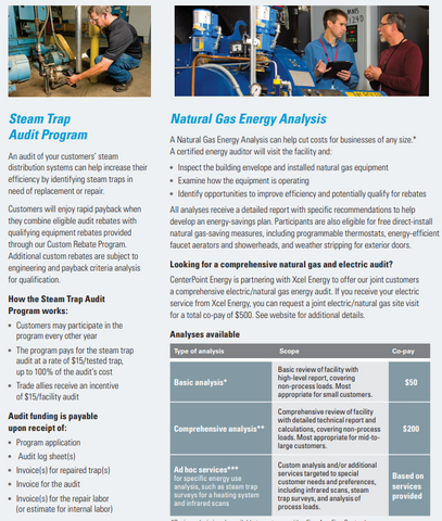 Steam Trao Audit