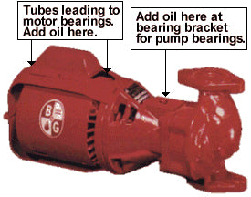 Where to Oil a Bell & Gossett Series  100 Pump