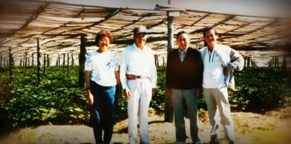 Founder of Great Mountain Ginseng - Mr. Ye's farm photo