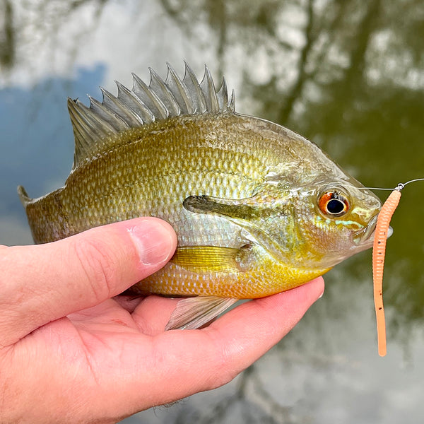 What Is Micro Finesse Fishing? – Moondog Bait Co