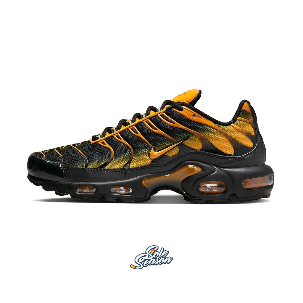 Nike Air Max Plus