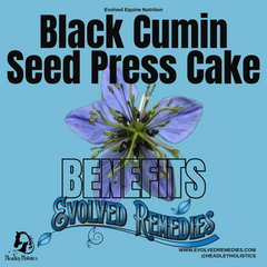 Organic Black Cumin Seed Press Cake Benefits for Horses