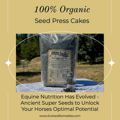 Organic Black Cumin Seed Press Cake has a long history of use in horses