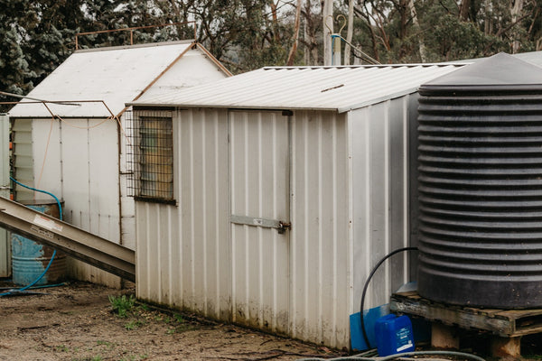 40 year old shed beside a water tank