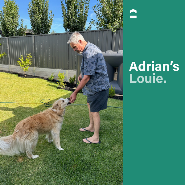 Man feeding a dog