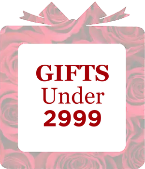 gifts_under_2999