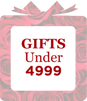 gifts_under_4999