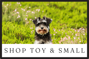 shop toy and small dog accessories button
