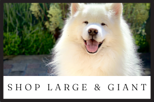 shop accessories for large and giant dogs