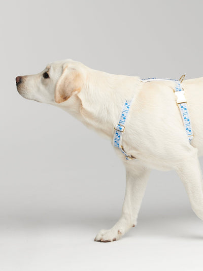 By Scout Hemp Fibre Trove Dog Harness Dog Harness By Scout Silver Circle Pets 