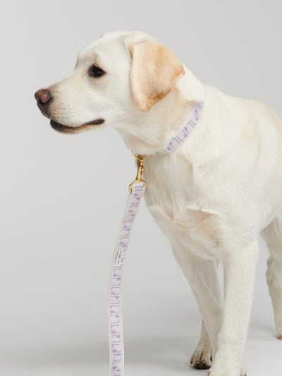 By Scout Hemp Fibre Trove Standard Dog Leash Dog Leash By Scout Silver Circle Pets 