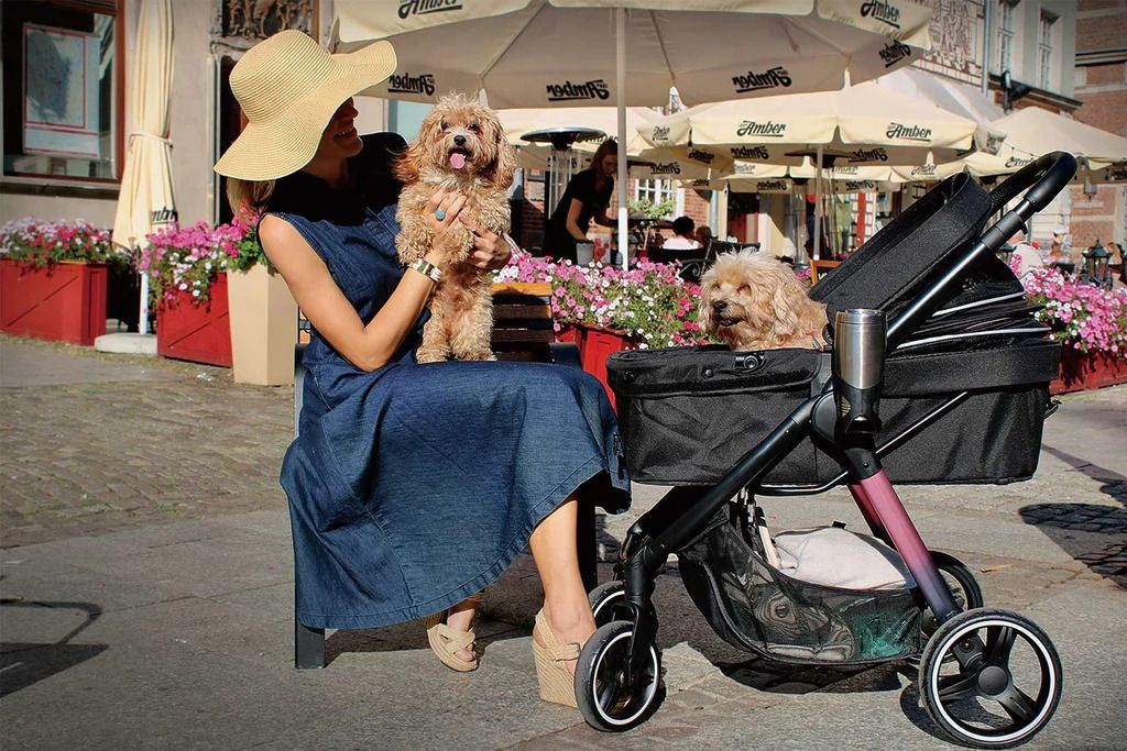 Ibiyaya retro luxe dog stroller