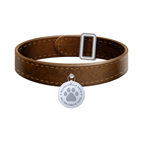 silver circle pets dog tag and collar