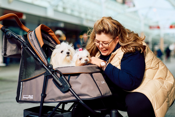 InnoPet Premium Cozy Pet Stroller beige